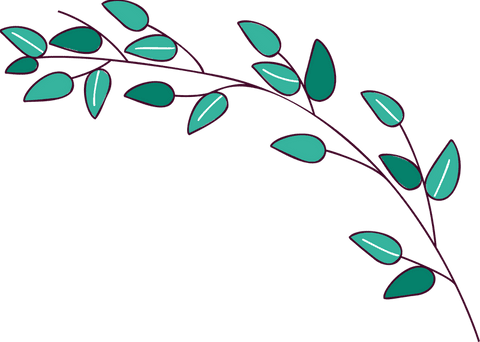Minimalistic vine branch with leaves on transparent background