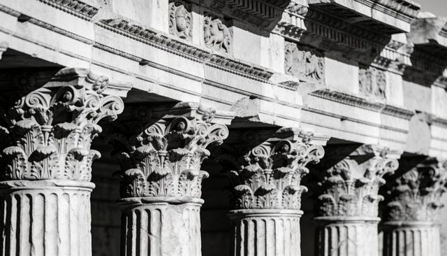 Corinthian columns showcasing ornate capitals casting dramatic shadows in monochrome