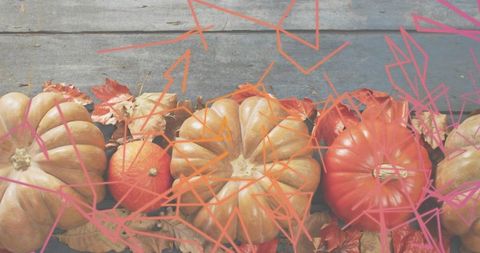 Autumn gourds and ribbed pumpkins on weathered blue-gray wood with vibrant overlay