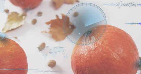 Showing pumpkin with hud overlay, autumn leaves and seeds flatlay for tech harvest