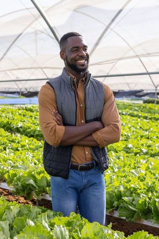 Confident Farmer Overseeing Lettuce Crops in Sustainable Greenhouse