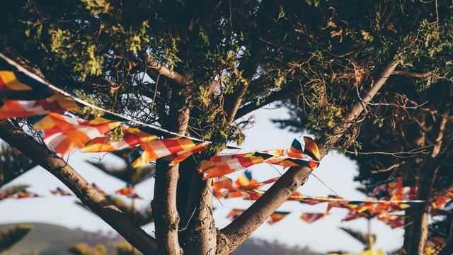 The vibrant, colorful bunting draped across the trees creates a festive atmosphere perfect for outdoor events. Ideal for use in summer celebrations, garden parties, or holiday gatherings, this cheerful scene evokes joy and communal enjoyment. The outdoor decor adds a lively touch to any promotional material or background for celebratory content.