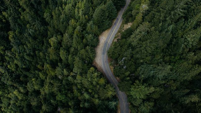 Aerial view of a winding road cutting through a vast green forest. Ideal for use in nature magazines, travel brochures, or environmental conservation materials to depict natural beauty and adventure. Also great for illustrating travel routes, adventure tourism, or outdoor recreation.