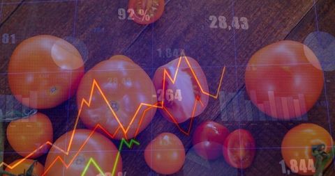 Overlaying market data on ripe tomatoes on dark wooden table for produce pricing concept