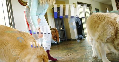 Bending woman petting golden retrievers in sunlit home with digital glitch overlay