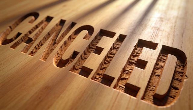 Carved cancelled text in wooden panel revealing tool marks, grain and warm sunlight closeup