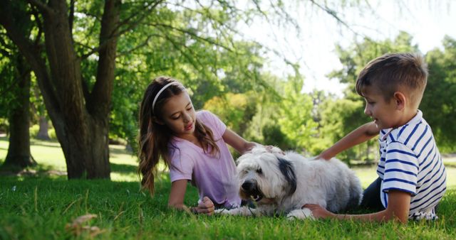Two children are playing with a dog on the grass in a park. They are enjoying a sunny day outdoors, surrounded by lush green trees and natural beauty. This image can be used for themes such as family bonding, outdoor activities, childhood joy, and pet companionship. Ideal for use in advertisements, articles on parenting, pet care, summer fun, and nature.