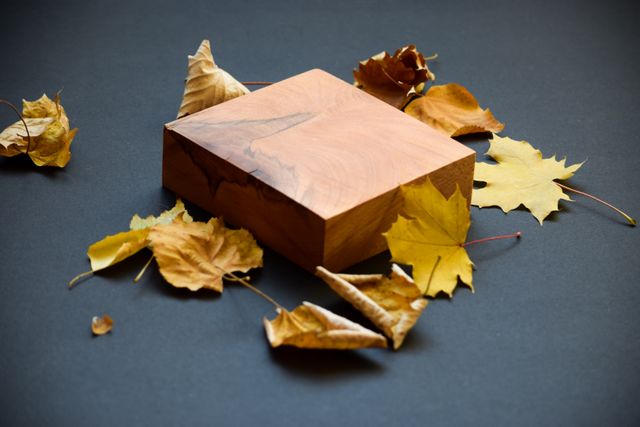 Wooden box placed on dark background, accented by dried autumn leaves. Ideal for themes of seasonal decor, craftsmanship, nature-inspired designs, or fall promotions.