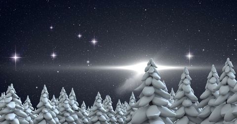 Winter Night Landscape with Snow-covered Pine Trees and Starry Sky