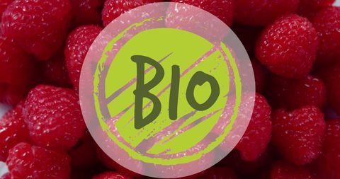 Lush organic raspberries with bio label inspiring healthy choices