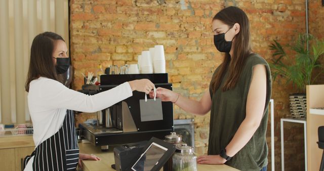 Barista Handing Coffee to Female Customer in Coffee Shop - Download Free Stock Images Pikwizard.com