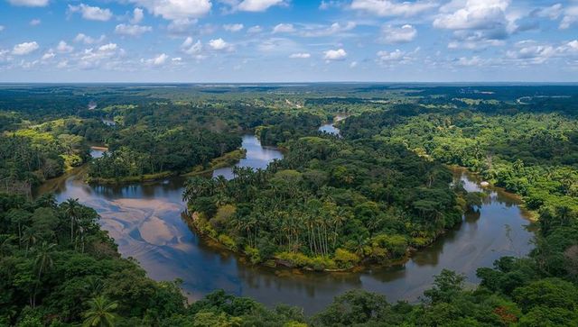 Winding tropical river threading lush rainforest with sandbars and palm islands