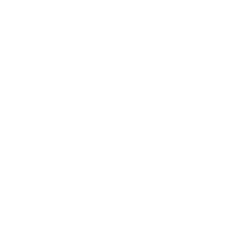 Botanical Abstract Pattern on Transparent Png Background