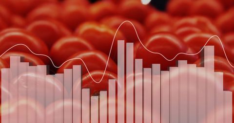 Data Processing Concepts Over Fresh Tomatoes - Download Free Stock Images Pikwizard.com