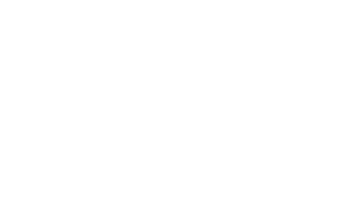 transparent pattern with white flowers - Download Free Stock Videos Pikwizard.com