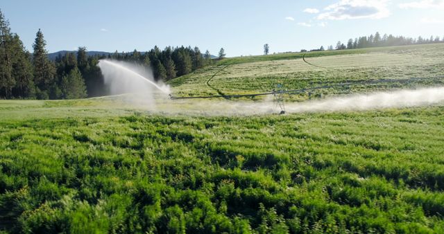 Automatic Sprinkler Watering Green Field in Summer - Download Free Stock Images Pikwizard.com