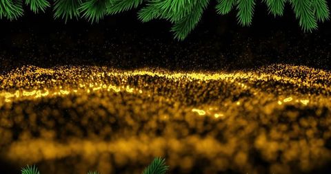 Festive Christmas Fir Branches and Glowing Lights Background