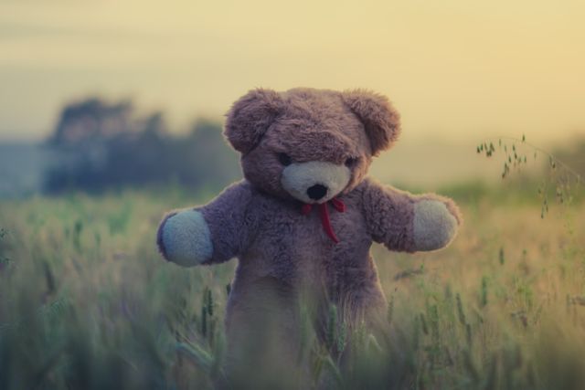 Brown Bear Plush Toy on Green Grass - Download Free Stock Photos Pikwizard.com