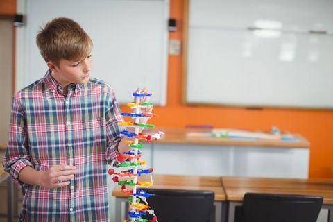 Teenage student examining dna model in classroom