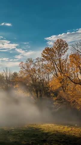 Vertical autumn woodland video showing sunbeams breaking through morning fog over meadow