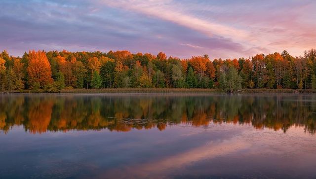 Autumn treeline reflecting on calm lake at sunrise with pastel pink clouds and mirror surface
