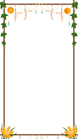 transparent boho frame with feathers and natural elements - Download Free Stock Videos Pikwizard.com