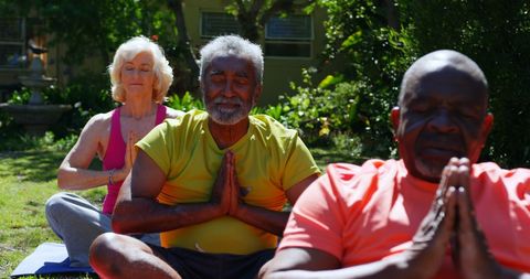 Diverse Senior Group Enjoys Outdoor Yoga and Meditation