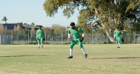 Sunlit Cricket Fielders in Green Yellow Uniforms Fielding on Outfield Demonstrating Teamwork