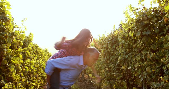 Senior man giving piggyback ride to young woman in vineyard at sunset - Download Free Stock Images Pikwizard.com