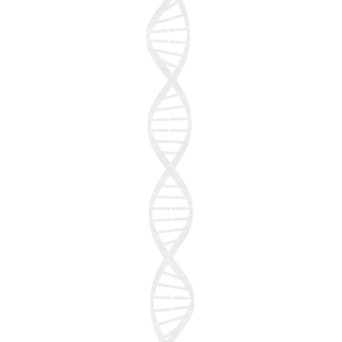 white transparent dna strand icon on clear background - Download Free Stock Videos Pikwizard.com