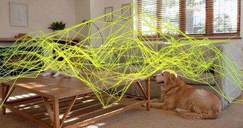 Golden retriever lifting head beside coffee table with neon network overlay in sunlit lounge