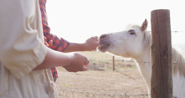 Hands feeding horse through fence on sunny day in rural setting. Communicates friendliness and connection with animals. Suitable for agriculture-related content, animal interaction scenes, rural life promotion, educational materials on farm animals.
