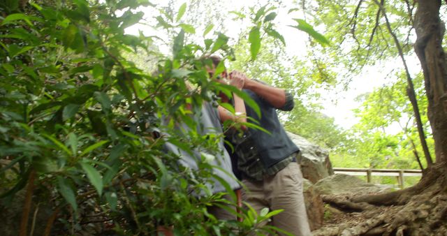 Hikers Exploring Dense Forest in Outdoors Adventure - Download Free Stock Images Pikwizard.com