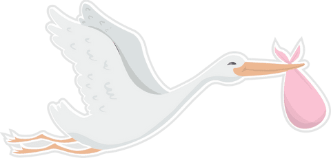 White Stork Flying with Pink Cloth Bundle on Transparent Background