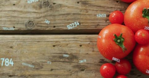 Fresh tomatoes resting on rustic wood with dewy droplets and floating blue data numbers