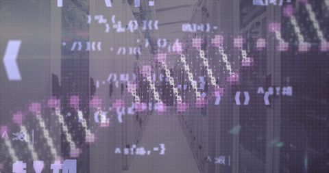 Digital DNA Communication in Computer Server Room - Download Free Stock Images Pikwizard.com