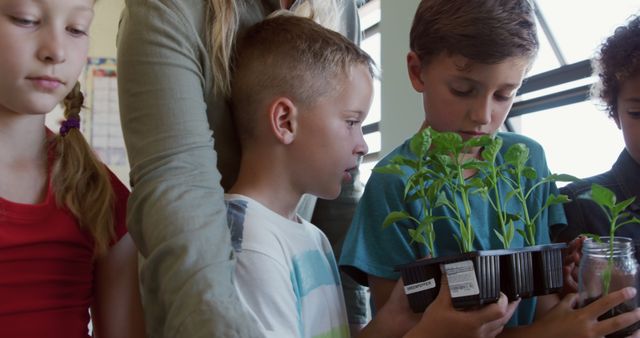 Children Learning About Plants in Classroom - Download Free Stock Images Pikwizard.com