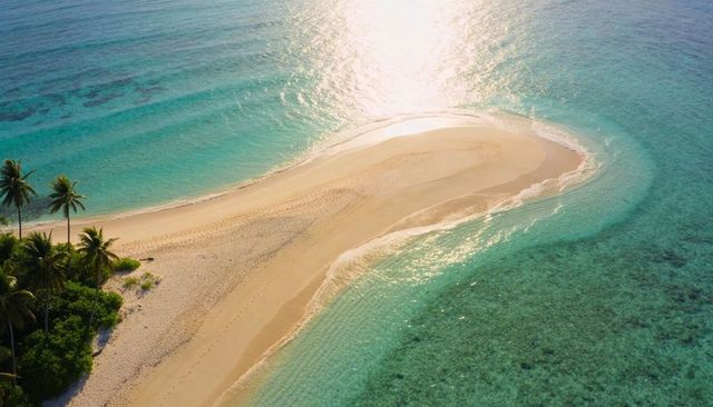 Aerial revealing crescent sandbar extending into turquoise sunlit lagoon with palm grove