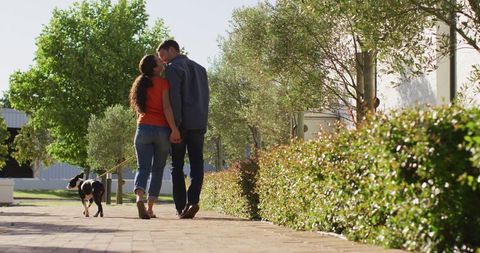 Happy Couple Walking Dog on Sunny Day - Download Free Stock Images Pikwizard.com