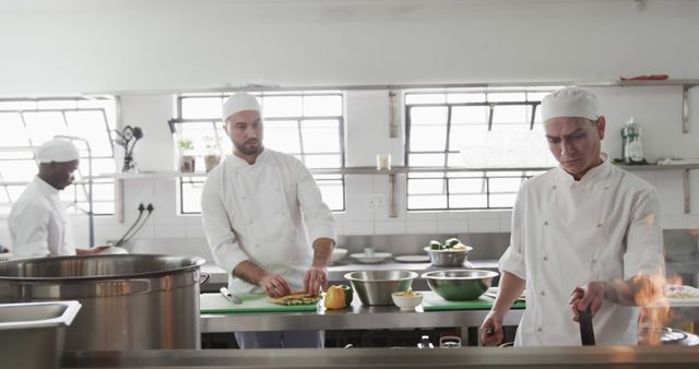 Professional Chefs Cooking and Preparing Food in Commercial Kitchen - Download Free Stock Images Pikwizard.com