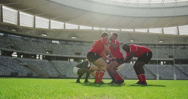 Rugby team in red jerseys practicing on grassy field in large empty stadium. Sunlight floods the arena, highlighting athleticism and teamwork. Ideal for use in sports websites, promotional material for rugby events, team spirit visuals, or fitness and athletic advertising.