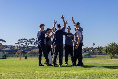 Male teammates high-fiving and celebrating on cricket pitch during sunny match