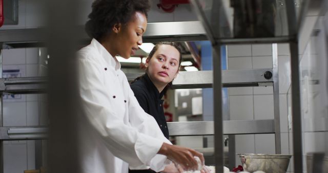 Two Chefs Preparing Ingredients in Professional Kitchen - Download Free Stock Images Pikwizard.com