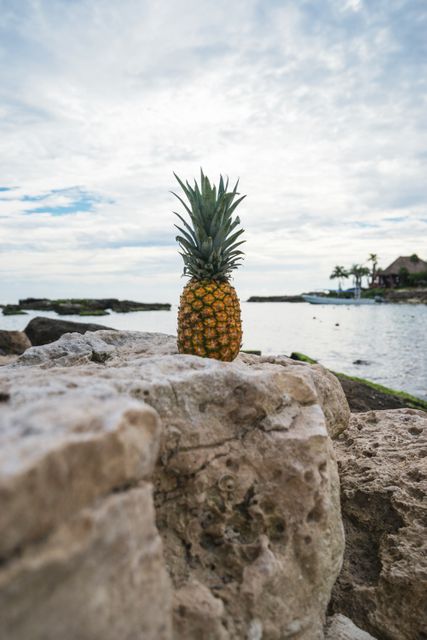 Pineapple standing on beach rocks under clear blue sky, representing tropical vacation vibes. Ideal for marketing materials related to travel, summer holidays, tropical fruit, healthy lifestyle, or exotic destinations. Great for use in blogs, advertisements, posters, and social media posts.