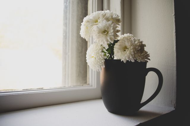 This stock photo shows a black mug used as a vase for white chrysanthemums placed on a window sill, with natural light pouring in through the window. Perfect for interior design inspiration, home decor blogs, minimalist decoration concepts, floral arrangement tutorials, and aesthetic lifestyle blogs.