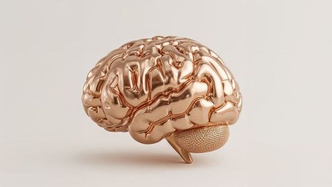 Reflective rose-gold brain sculpture in minimalist style
