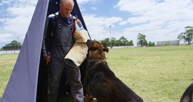 Dog Training Outdoors Man Working with German Shepherd on Bite Sleeve - Download Free Stock Images Pikwizard.com