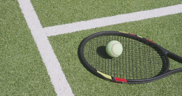 Tennis Racket And Ball On Grass Court Close Up - Download Free Stock Images Pikwizard.com