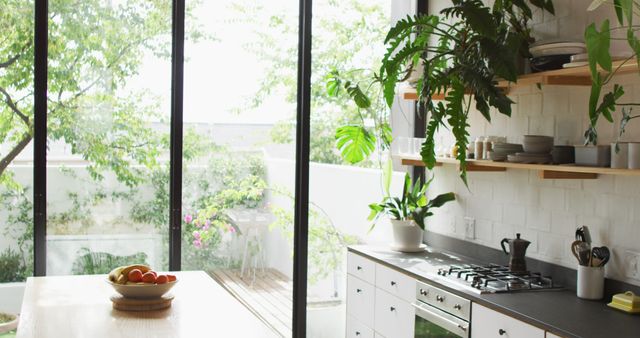 Modern Sunlit Kitchen with Large Glass Windows and Green Plants - Download Free Stock Photos Pikwizard.com