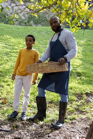 African american father and son harvesting lemons in backyard garden holding wicker basket